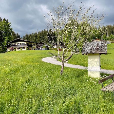 Am Randersberg - Wohnung Nr 2 グロースグマイン エクステリア 写真