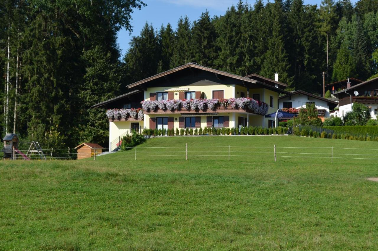 Am Randersberg - Wohnung Nr 2 グロースグマイン エクステリア 写真
